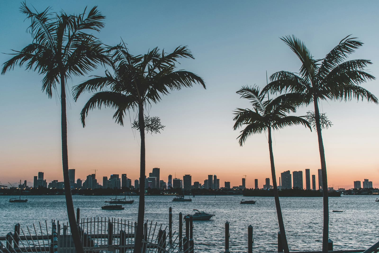 The silhouette of palm trees and the Miami skyline at dusk – the flow through the Straits of Florida is the start of the Gulf Stream, and a weakening overturning circulation brings faster sea-level rise along North America’s east coast